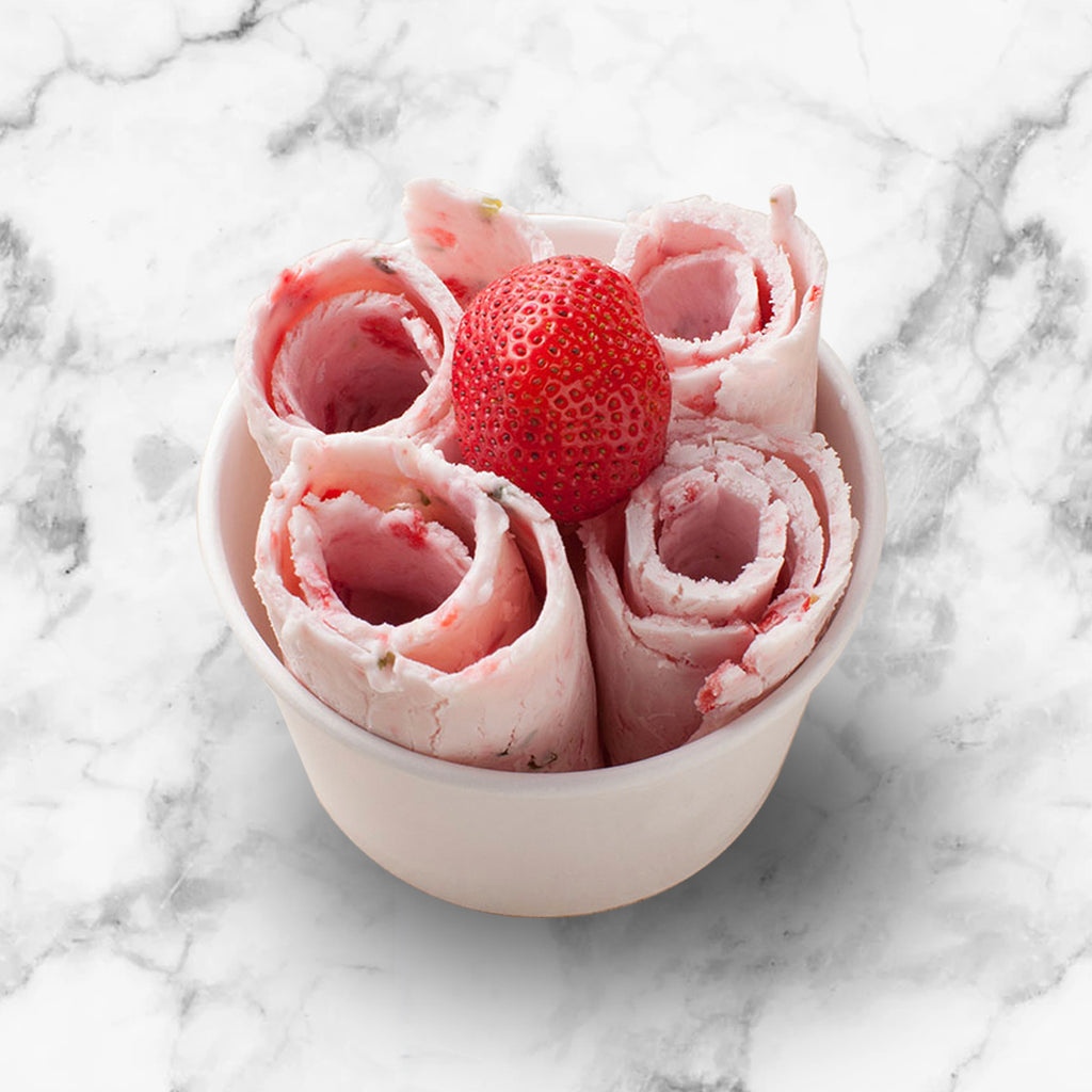 Whynter Portable Instant Ice Cream Maker Frozen Pan Roller in Stainless Steel - ICR-300SS - Wine Cooler City